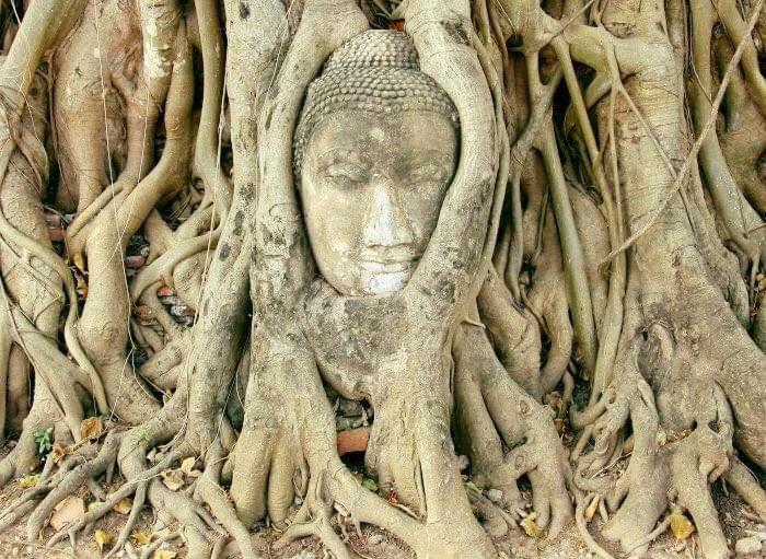 Chanida Home Phra Nakhon Si Ayutthaya Luaran gambar